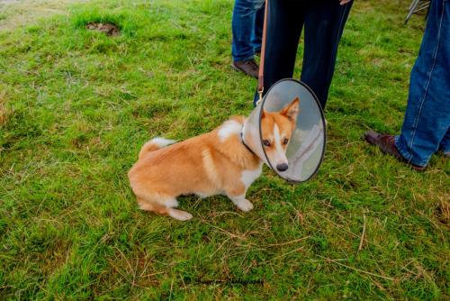 Swarber Photography-0809