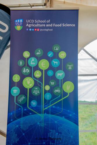 Swarber Photography-0814