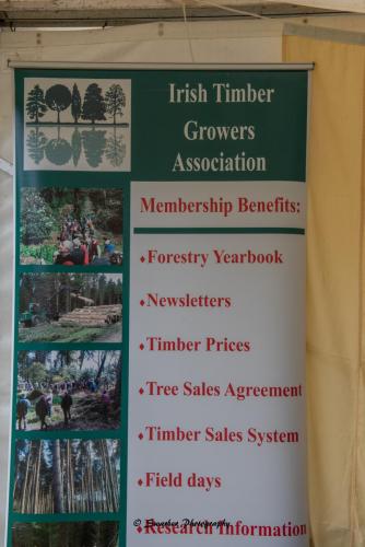 Swarber Photography-0828