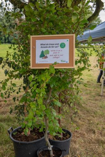 Swarber Photography-0830