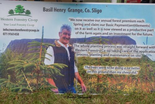 Swarber Photography-0833