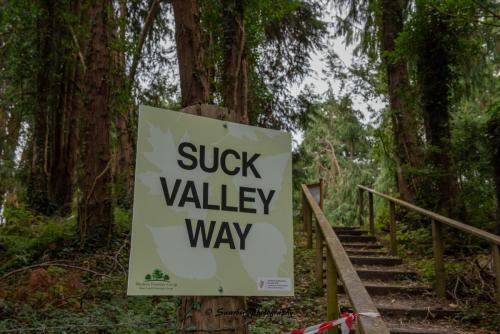 Swarber Photography-0839