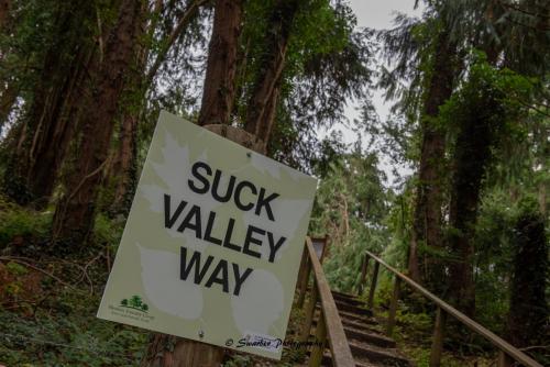 Swarber Photography-0840