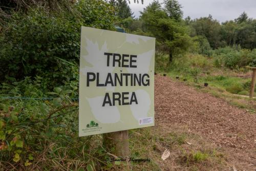 Swarber Photography-0841