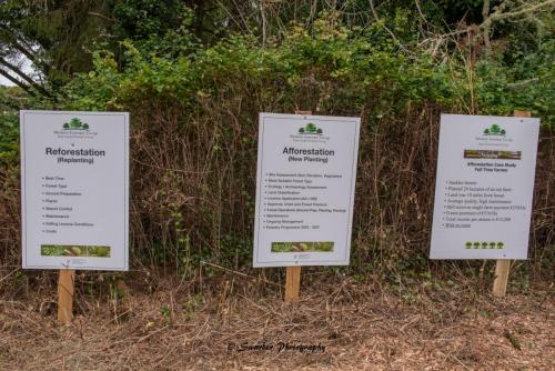 Swarber Photography-0842