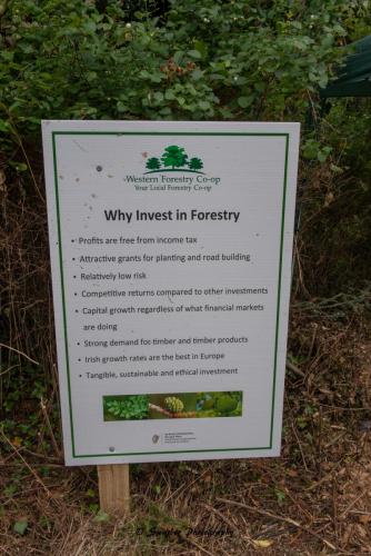 Swarber Photography-0843