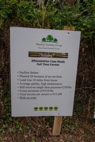 Swarber Photography-0844