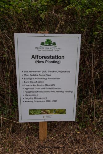 Swarber Photography-0845