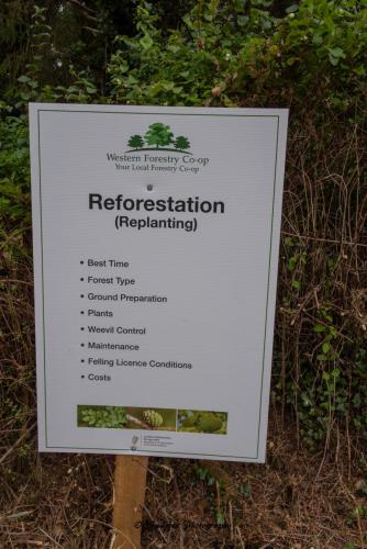 Swarber Photography-0846