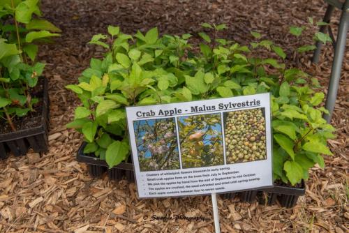 Swarber Photography-0850