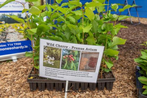 Swarber Photography-0851