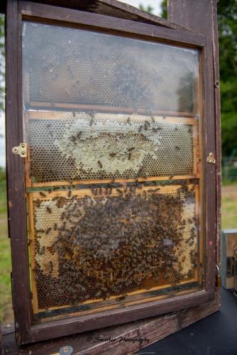 Swarber Photography-0924