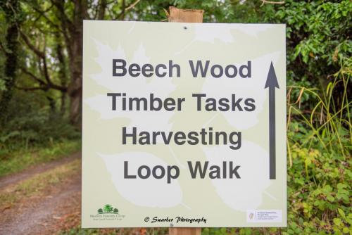 Swarber Photography-0926