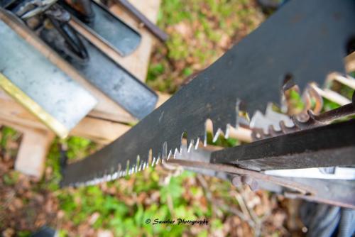 Swarber Photography-0942