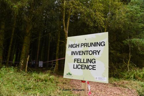 Swarber Photography-0991