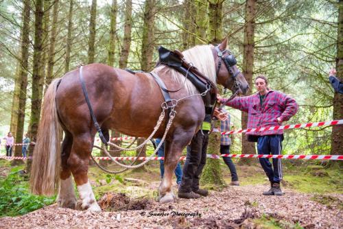 Swarber Photography-1001