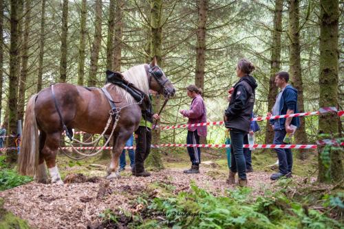 Swarber Photography-1002