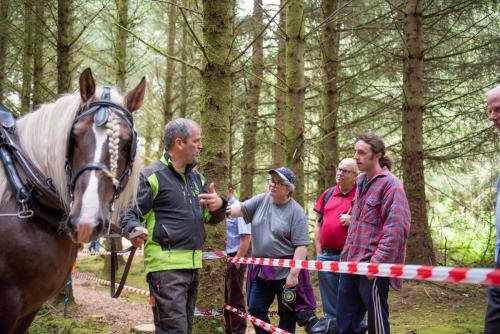 Swarber Photography-1005