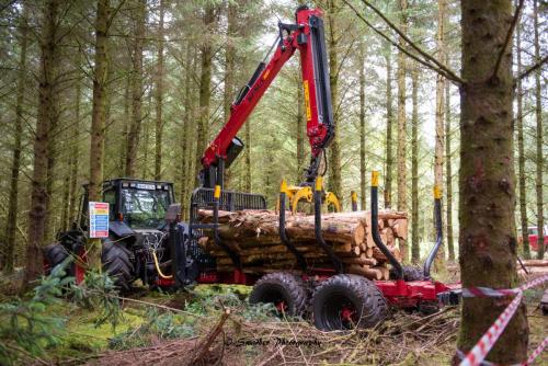 Swarber Photography-1009