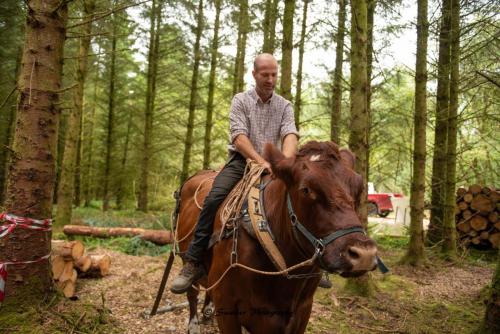 Swarber Photography-1012