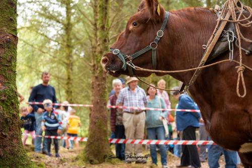 Swarber Photography-1013