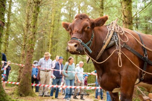 Swarber Photography-1014