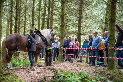 Swarber Photography-1019