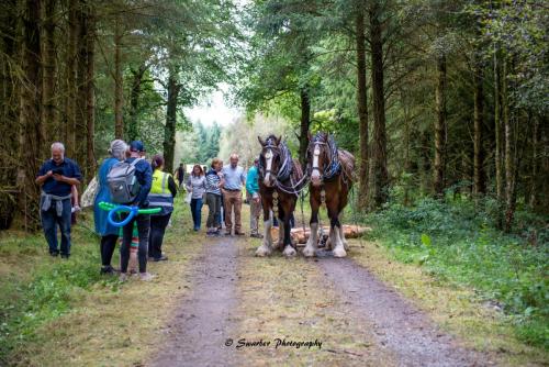 Swarber Photography-1023