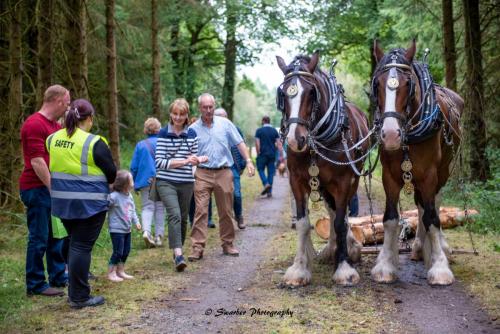 Swarber Photography-1024