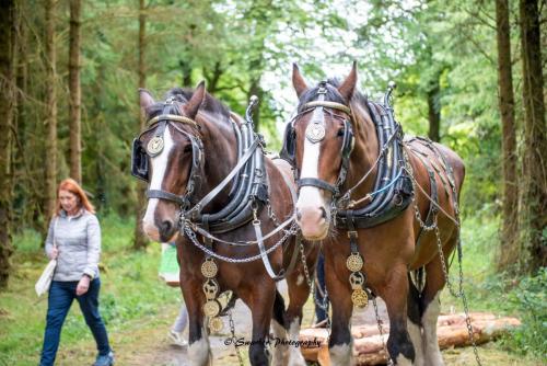 Swarber Photography-1025