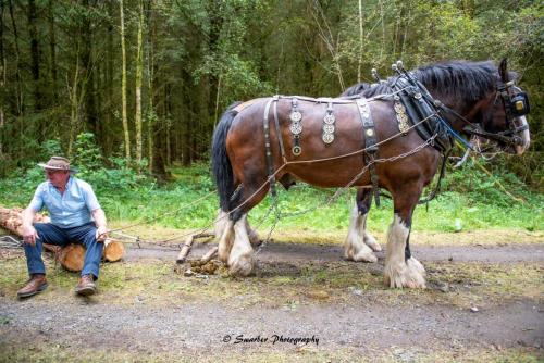 Swarber Photography-1028