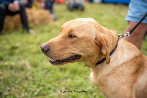 Swarber Photography-1062