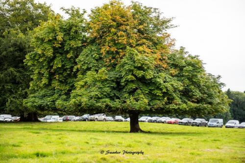 Swarber Photography-1070