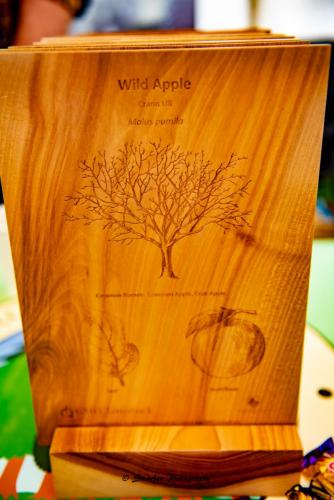 Swarber Photography-1077