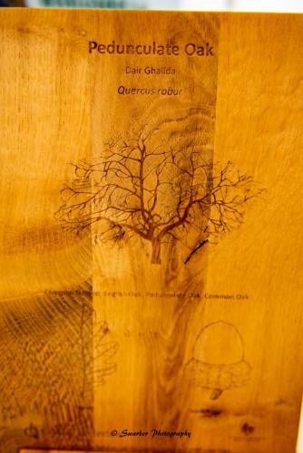 Swarber Photography-1079