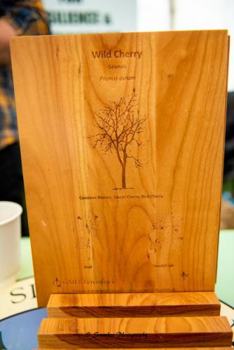 Swarber Photography-1081