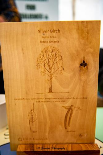 Swarber Photography-1082