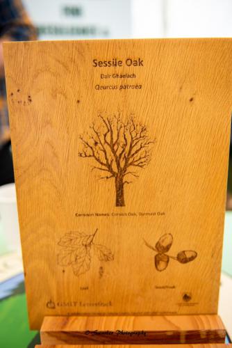 Swarber Photography-1083