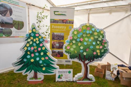 Swarber Photography-1093